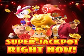 Dashboard loyalitas menampilkan tier saat ini, poin, dan cashback yang tersedia